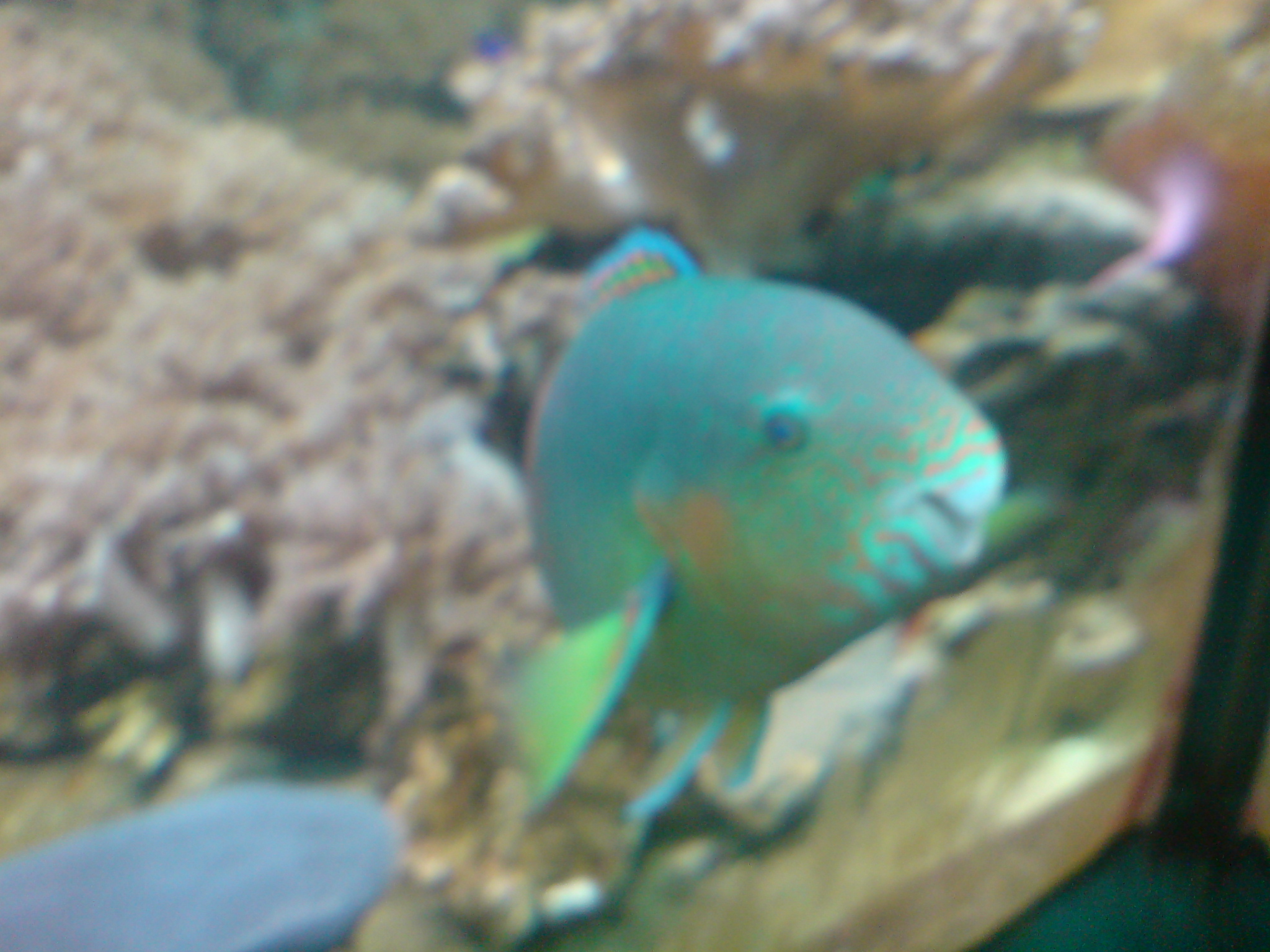 DSC02347